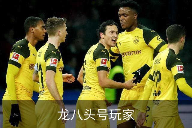 龙八头号玩家公司介绍图片